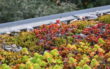 the cost of Capton green roof installation