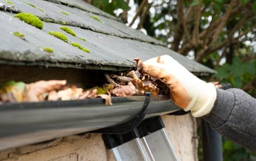 gutter cleaning Capton