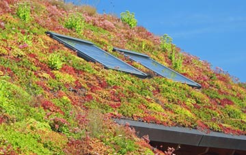 Capton living roof systems