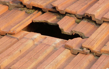 roof repair Capton
